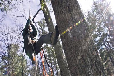 Image: Urban Forestry WTCS